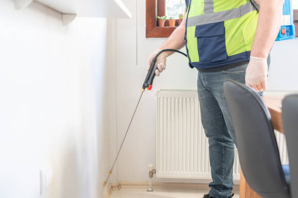 Best Local Pest Control Services  in Palm Harbor, FL